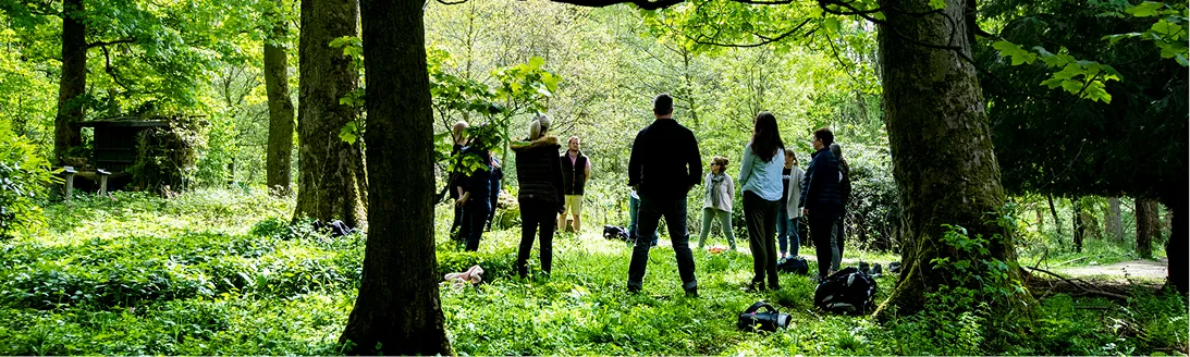 A group gathered among the trees in the woodland